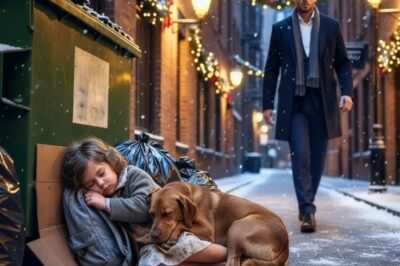 Single Dad CEO Finds Little Girl & Her Dog Sleeping on Trash—The Truth Broke His Heart