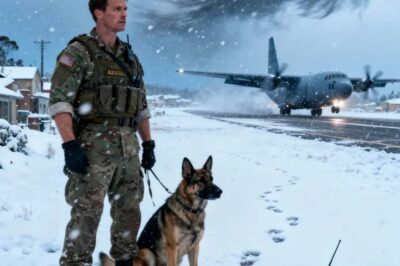 Un marine australiano y su perro K9 encontraron a su hermana oficial desaparecida… y la verdad te