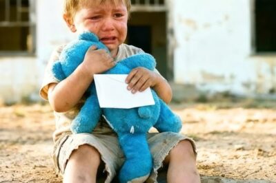 Lo echaron del orfanato por ladrón, pero no sabían qué escondía su oso de peluche