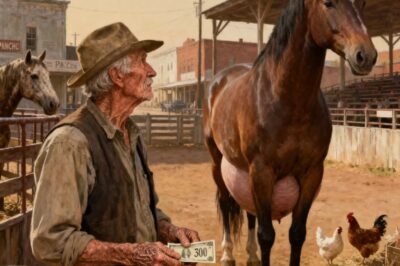 Un granjero compra una yegua gigante preñada por 50 dólares… y Ocurrió Algo Inesperado