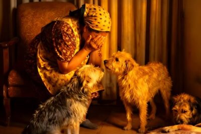 Anciano ciego MURIÓ abrazado a 8 perros: Jesús reveló secreto que conmovió a la ciudad