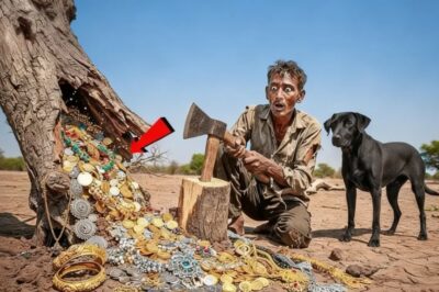 LA POLICÍA LA INSULTÓ PENSANDO QUE ERA UNA PERSONA COMÚN… ¡LO QUE PASÓ DESPUÉS FUE INCREÍBLE!