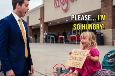 The Millionaire Came Back And Saw His Daughter Begging Outside A Store.He Froze When He Learned Why…