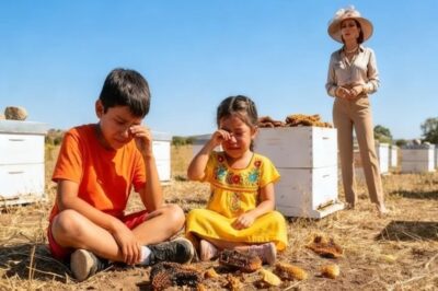 Su Madrastra los Abandonó con un Apiario en Ruinas… Años Después, Luego Suplicó por su Miel Curativa