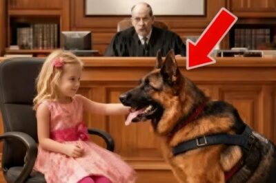 “Una niña dio una señal secreta a su perro — el juez lo vio y detuvo la sala del tribunal cuando el