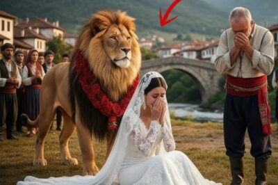 “¿Por Qué Sudhakar Casó a Su Hija con un León?”