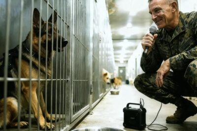 Un veterano de la Marina de EE. UU. le canta a un perro K9 agresivo y hambriento, y entonces ocurrió