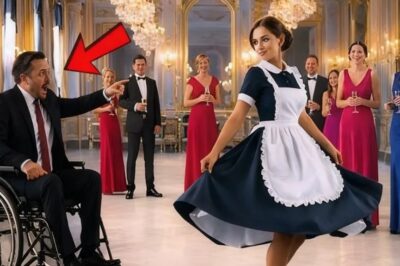 MILLONARIO EN SILLA DE RUEDAS DESPEDÍA A TODAS—HASTA QUE UNA EMPLEADA HUMILDE LO CAMBIÓ CON UN BAI