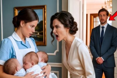 ‘PRUEBA A TU NOVIA CON TRILLIZOS’—DIJO LA FAXINEIRA AL VIUDO MILLONARIO Y LO Q VIO LO DEJÓ EN SHOC