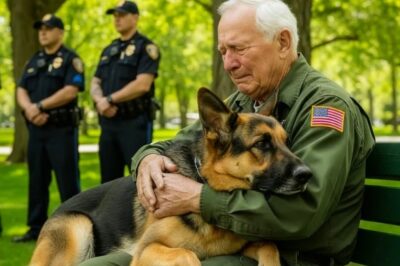A un perro K9 se le ordenó atacar a un anciano, ¡pero lo que sucedió después hizo llorar a todos!