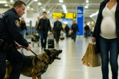 Perro policía ladra desesperadamente a una mujer embarazada ¡el descubrimiento tardío sorprende a…