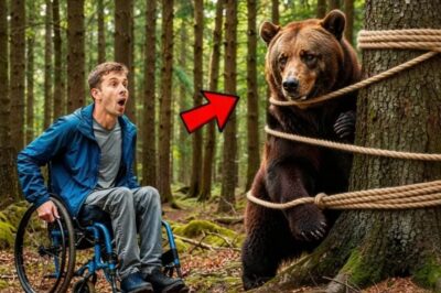 Un Oso Le Rogo Que Le Retire La Trampa, Pero El Niño Discapacitado Hizo Algo Mas Que Ayudarlo
