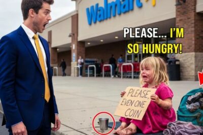 The Millionaire Came Back And Saw His Daughter Begging Outside A Store.He Froze When He Learned Why…