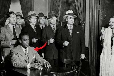 Mayme Johnson entró desarmada a una reunión de la multitud. Ocho hombres armados se pusieron de pie y la dejaron hablar primero.