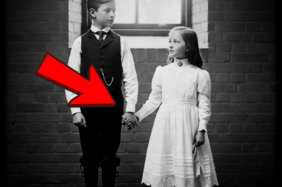 Foto de 1890: hermanos de la mano parecía dulce—hasta que la restauración reveló lo peor