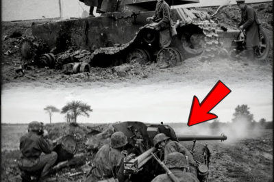 Cinco hombres en un ataúd de acero El KV-1 que se negó a morir