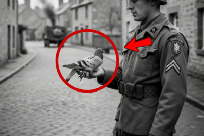 Soldado sosteniendo una paloma mensajera en 1943: al ampliar la imagen, los historiadores se sorprenden.