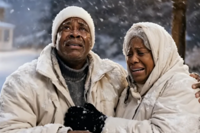 El Joven Multimillonario Regresa 3 Días Antes para Sorprender a sus Padres… Pero lo que Vio Destruyó su Mundo