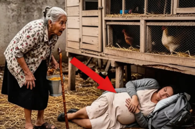 Una viuda anciana encuentra a una embarazada bajo su gallinero… y descubre algo que lo cambia todo