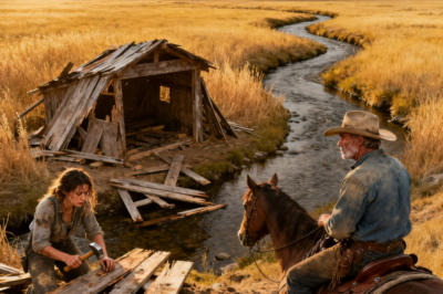 She Was Building a Shelter With Broken Boards—Rancher Watched From Afar, Then Rode Over With Lumber !
