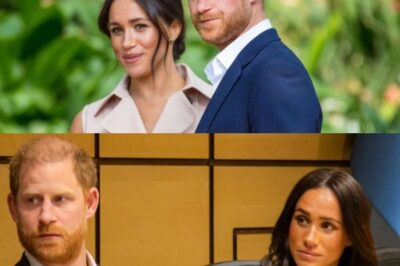 Meghan Markle and Prince Harry Deny Netflix Was Blindsided by Oprah Interview and Spare Claims