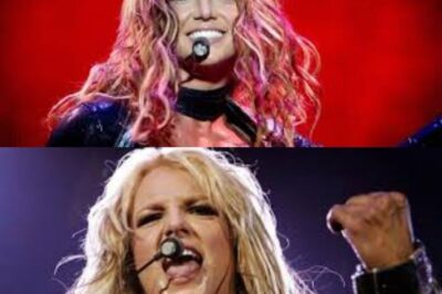 When Miranda Lambert Stopped Performing Perfection—and Turned Raw Honesty Into the Loudest Moment in the Room