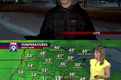 Weathermen Who Completely Lost It On Live TV