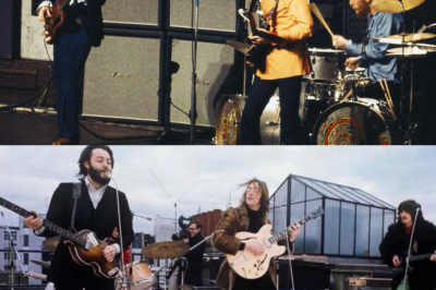 The Real Reason These Bands Broke Up