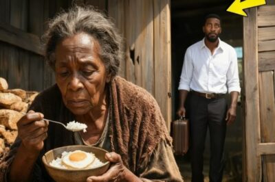 ¡El multimillonario regresó del extranjero y descubrió que su madre vivía en una casa abandonada!