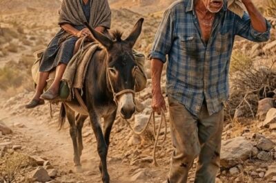 La Nuera Los Humilló Y Solo Les Dejó Un Burro… Años Después, Lloró Al Ver Lo Que Llegaron A Ser…