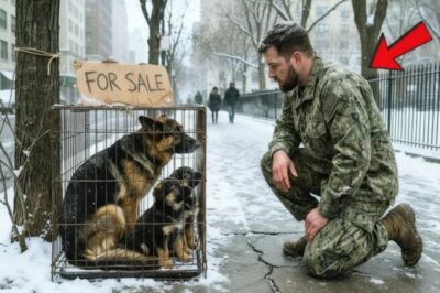 Un SEAL de la Marina rescata a una perra congelada y a sus cachorros. Lo que sucede después derrite