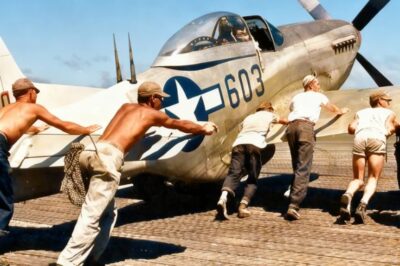 Un As Alemán Probó Un P-51 Mustang Capturado… Lo Que Dijo Impactó A Sus Superiores