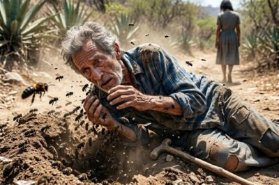 Una hija poco filial empuja a su padre a un nido de avispas. Un taxista entra en pánico, corre a salvarlo y expone el crimen.