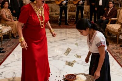 Suegra organiza una fiesta después de que su hijo abandonara a su esposa. Cinco minutos después, toda la familia es evacuada porque la villa ha sido sellada.