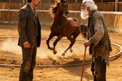 MILLONARIO APUESTA 5 MILLONES EN CABALLO SALVAJE… PERO VIEJO MENDIGO PIDE UNA OPORTUNIDAD