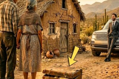 El Hijo Rico Les Dejó UnaMaleta Rota Como Herencia… Pero Al Abrirla, Encontraron Algo Más Que Dinero