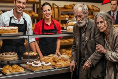 “¿Tendrías Un Pastel Caducado Para Mi Esposa?” Preguntó El Sintecho… Pero El Millonario Lo Vio Todo…