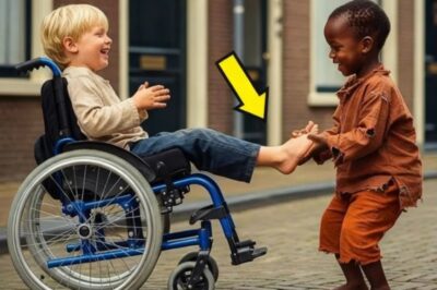 UN NIÑO POBRE AYUDÓ A UN CHICO EN SILLA DE RUEDAS… SIN IMAGINAR QUE ERA HIJO DE UN MILLONARIO