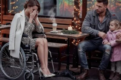 MILLONARIA EN SILLA DE RUEDAS LLORABA SOLA — HASTA QUE UN PADRE SOLTERO SIN HOGAR SE SENTÓ A SU LADO