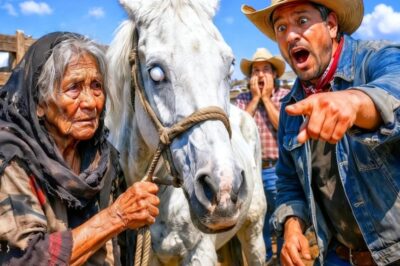 Una pobre viuda compró un caballo ciego… y nadie podría haber imaginado que su destino cambiaría a partir de ese momento.
