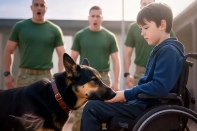 Cuando un joven paralizado conoció a un perro maltratado, su inesperado vínculo hizo llorar a todos.