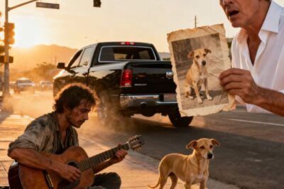 Nadie le dio ni una moneda en todo el día… hasta que un hombre en una camioneta negra vio a su perrita y detuvo el tráfico Cuando pronunció el nombre “Luna”, Anderson entendió que el pasado estaba a punto de destruir todo lo que creía saber….