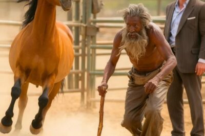 “Todos dijeron que estaba loco por confiar en un mendigo… Hasta que el caballo indomable hizo algo imposible frente a miles.”  3️⃣