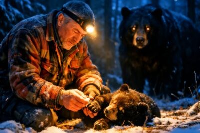 Un Oso Rodeó la Cabaña al Anochecer… Pero Lo Que Hizo Después Cambió Todo