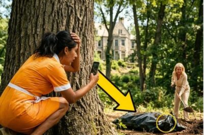 La viuda vio a su patrona enterrando algo en el bosque y lo que descubrió cambió todo.