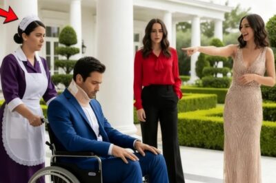 El Millonario Finge Estar Paralizado Para Probar A Su Novia… Pero La Empleada Prueba Amor Verda