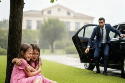 Millonario Llegó A Casa Sin Avisar Y Vio A Sus Gemelas Abandonadas Por La Esposa Bajo La Lluvia