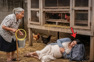 Una viuda anciana encuentra a una embarazada bajo su gallinero… y descubre algo que lo cambia todo – YouTube