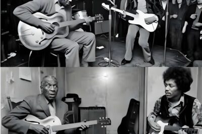 72-Year-Old Played “Purple Haze” to EMPTY Bar — When Jimi Heard It, He Did Something UNBELIEVABLE