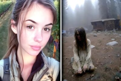 Estudiante Desapareció En Un Viñedo De Valle De Napa; 5 Años Después La Hallaron En Una Secta